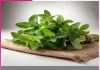 Mint: A Natural Remedy for Summer Ailments Mint