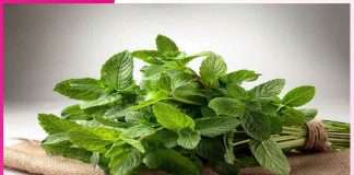 Mint: A Natural Remedy for Summer Ailments Mint