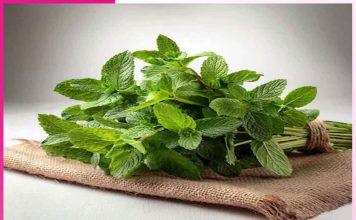 Mint: A Natural Remedy for Summer Ailments Mint