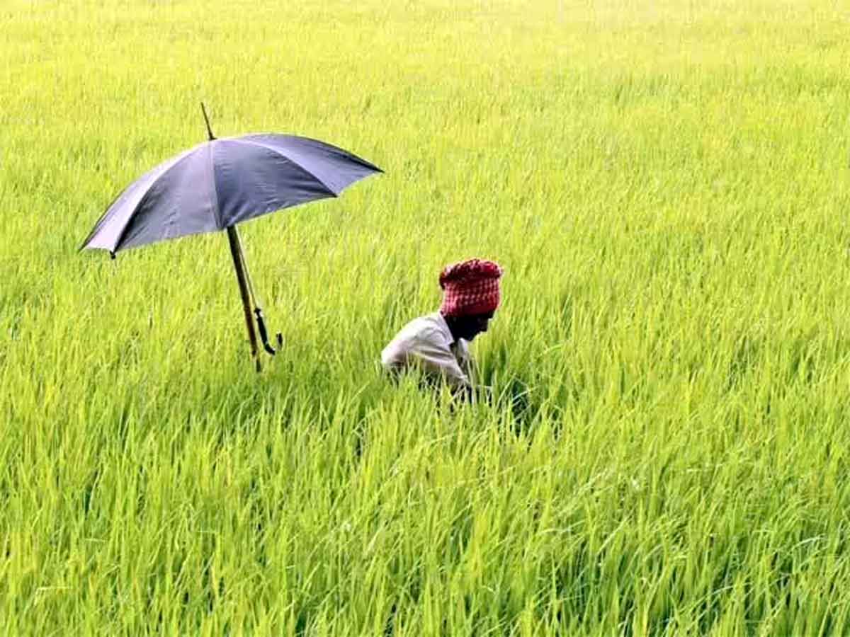 Rural Needs Before Monsoon 1 Rural Needs Before Monsoon