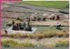 Rural Needs Before Monsoon Rural Needs Before Monsoon
