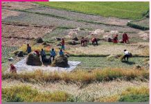 Rural Needs Before Monsoon Rural Needs Before Monsoon