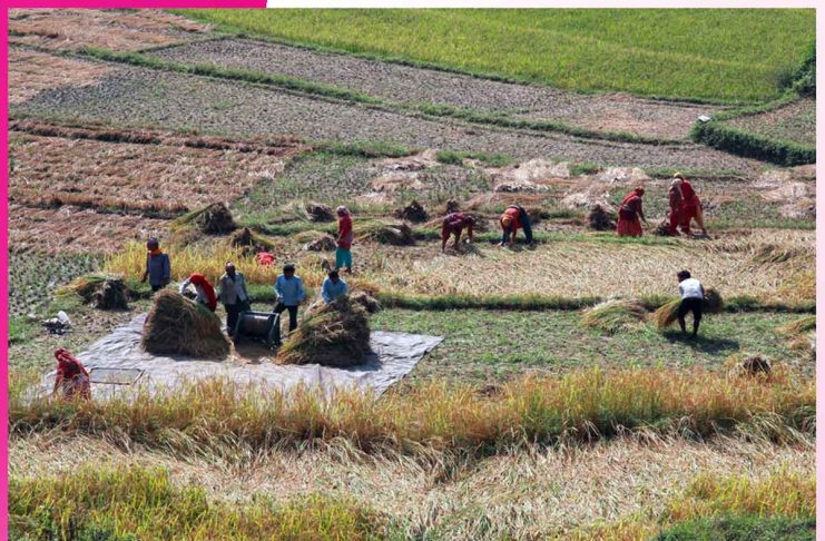 Rural Needs Before Monsoon Rural Needs Before Monsoon