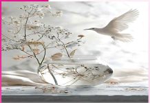 The Importance of Self-Examination The Importance of Self-Examination