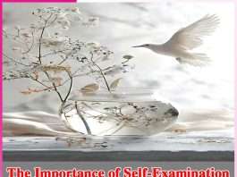 The Importance of Self-Examination The Importance of Self-Examination