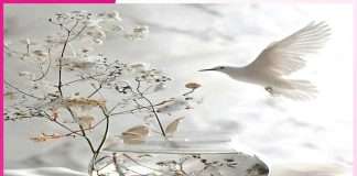 The Importance of Self-Examination The Importance of Self-Examination