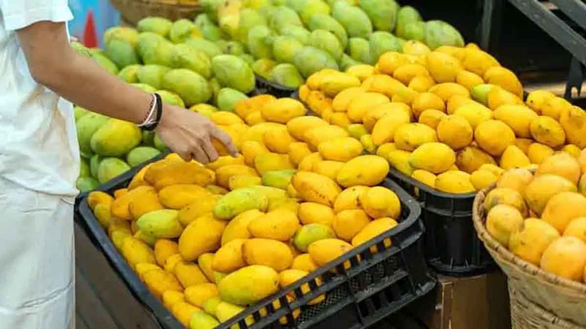 Why Should Mangoes Be Soaked in Water Before Eating? 1 mengo