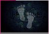 Digital Footprints, Real Consequences Digital Footprints, Real Consequences