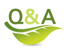 Question and Answer