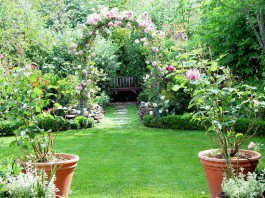 To Plant a Garden is to Believe in Tomorrow Sachi Shiksha