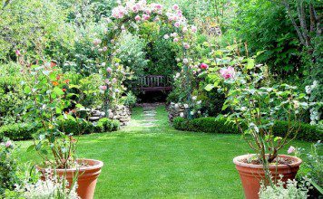 To Plant a Garden is to Believe in Tomorrow Sachi Shiksha