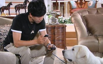 Maintain a safe distance from your pet - Sachi Shiksha