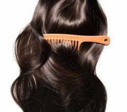 Essential Nutrients for Healthy Hair - Sachi Shiksha
