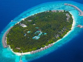 Maldives - The Sunny Side of Life