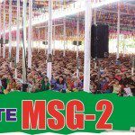 msg