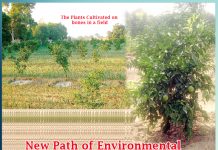 Charity with Bones New Path of Environmental Conservation (Special on June 5) Sachi Shiksha