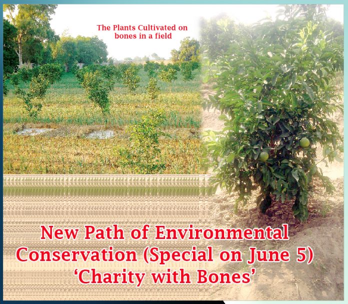 Charity with Bones New Path of Environmental Conservation (Special on June 5) Sachi Shiksha