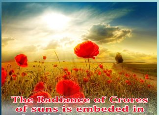 The Radiance of crores of suns is embeded in the divine face of the Spiritual Guide.