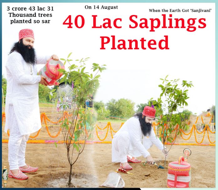 40 lac saplings planted ,On 14 August