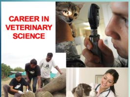 CAREER IN VETERINARY SCIENCE