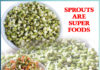 SPROUTS ARE SUPER FOODS Sachi Shiksha