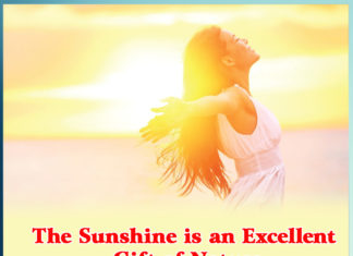 The Sunshine is an Excellent Gift of Nature