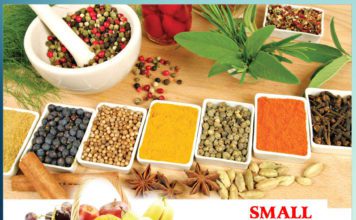 Small but useful tips Sachi Shiksha