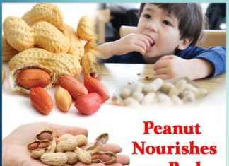 Peanut Nourishes Our Body - Sachi Shiksha