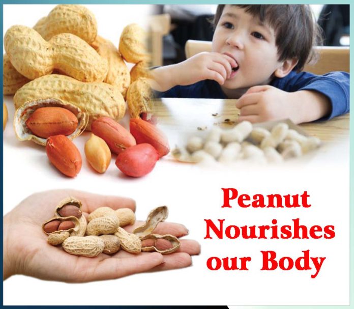Peanut Nourishes Our Body - Sachi Shiksha