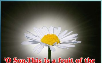 O Son,This is a fruit of the Eternal Abode