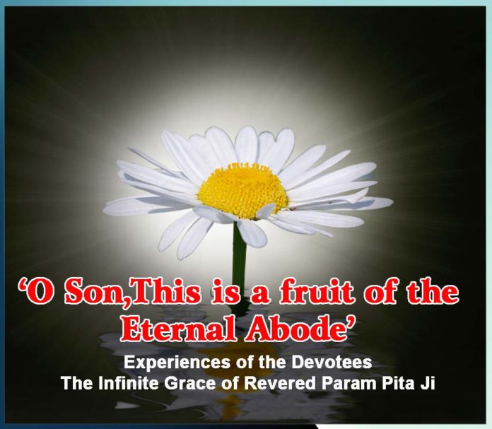 O Son,This is a fruit of the Eternal Abode