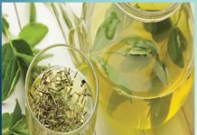Some Herbal Drinks Can Effectively Keep Diseases Away - Sachi Shiksha