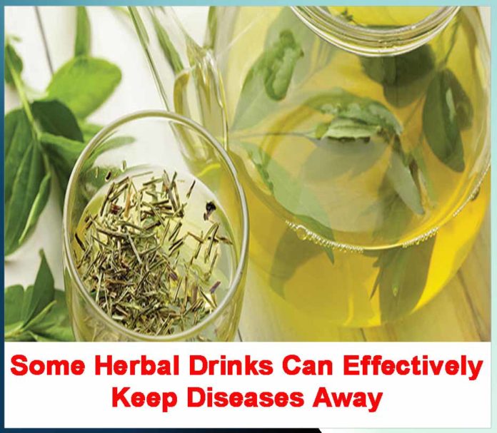 Some Herbal Drinks Can Effectively Keep Diseases Away - Sachi Shiksha