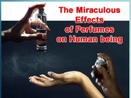 The Miraculous Effects of Perfumes on Human being - Sachi Shiksha