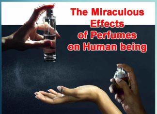 The Miraculous Effects of Perfumes on Human being - Sachi Shiksha