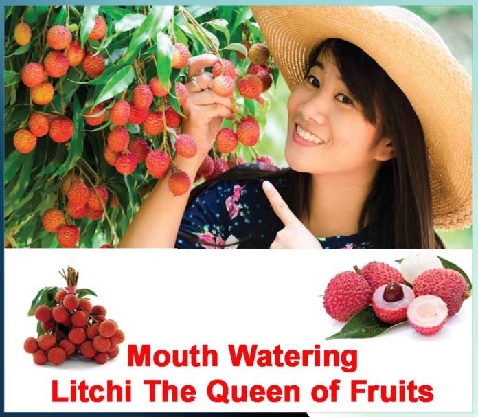 benefits of litchi fruit - Sachi Shiksha