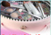 Don’t Waste Expired Beauty Products, Re-use them - Sachi Shiksha