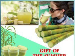 GIFT OF THE SUMMER SUGARCANE JUICE