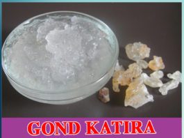 gond katira for bones - health benefits of gond katira - Sachi Shiksha