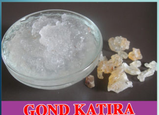 gond katira for bones - health benefits of gond katira - Sachi Shiksha