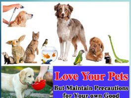 Love your pets - Sachi Shiksha