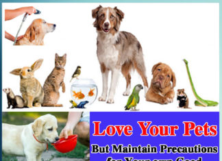 Love your pets - Sachi Shiksha