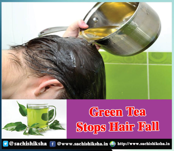 uses and benefits of green tea to prevent hair loss - Sachi Shiksha