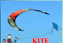 Kite Festival, Kite teaches us many things - Sachi Shiksha