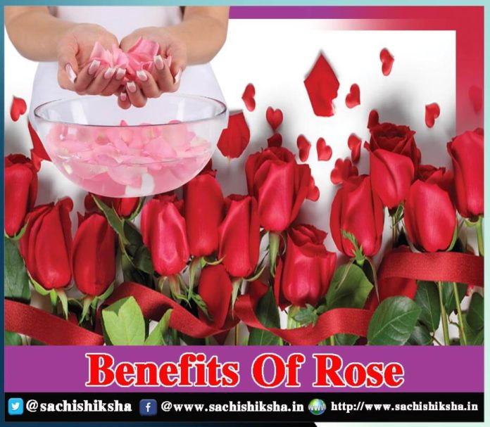 Benefits Of Rose - Sachi Shiksha