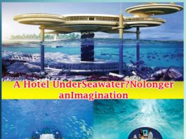 A Hotel Under Seawater No longer an Imagination Daily Bees