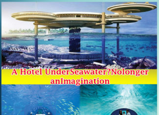 A Hotel Under Seawater No longer an Imagination Daily Bees