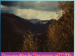 Immunity is Panacea of Life