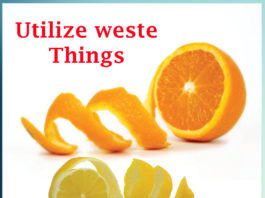 Utilize waste Things - Sachi Shiksha