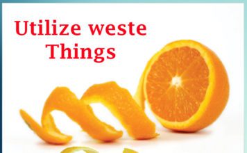 Utilize waste Things - Sachi Shiksha
